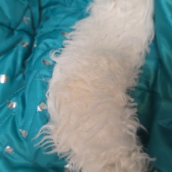 Vest turquoise in color size 6x. - Picture 5 of 5